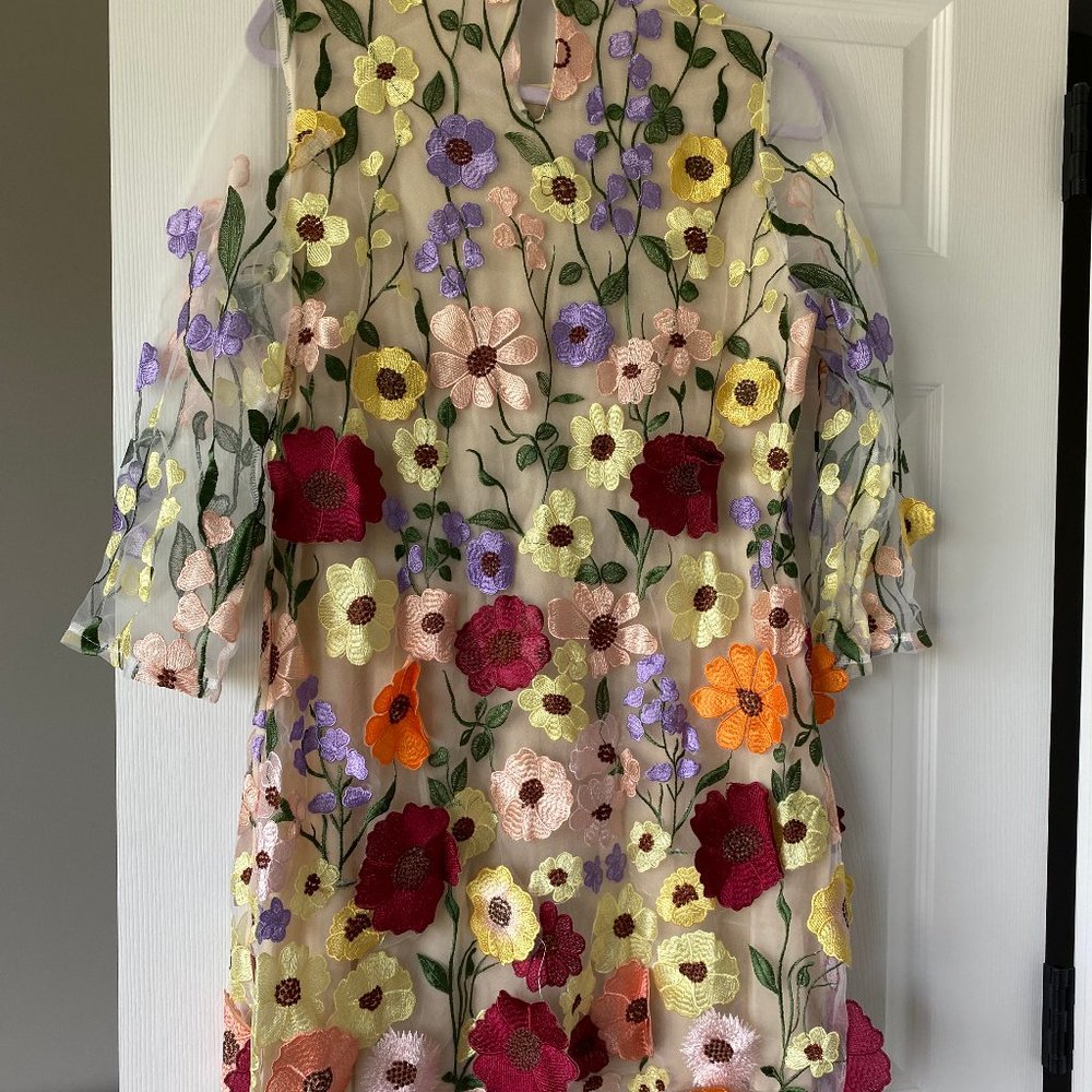 Embroidered Floral Applique Half Sleeve Mini Dress